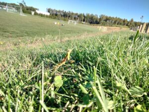 IMG20221011154921